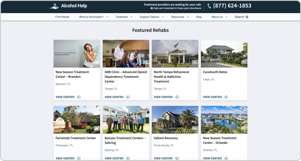 Alcohol Help website section